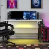 NTense Genesis Gaming Desk