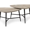 Taupe Reclaimed Triangular 2-Piece Nesting Table Set