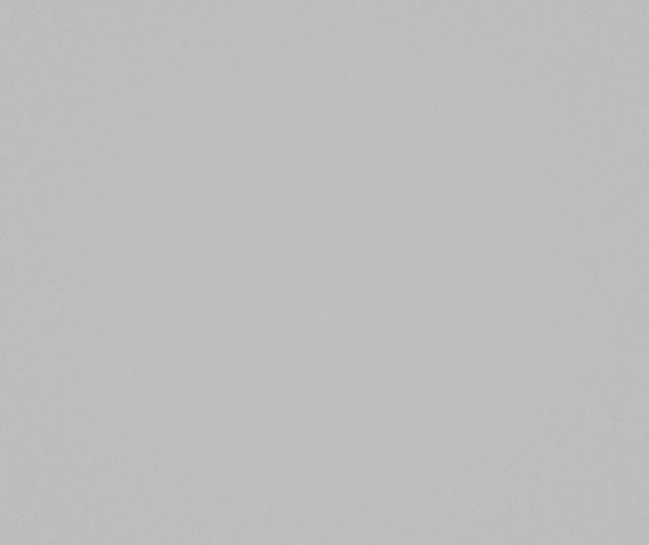 Monarch Metal 12-Hook Coat Rack With Umbrella Holder - Image 9